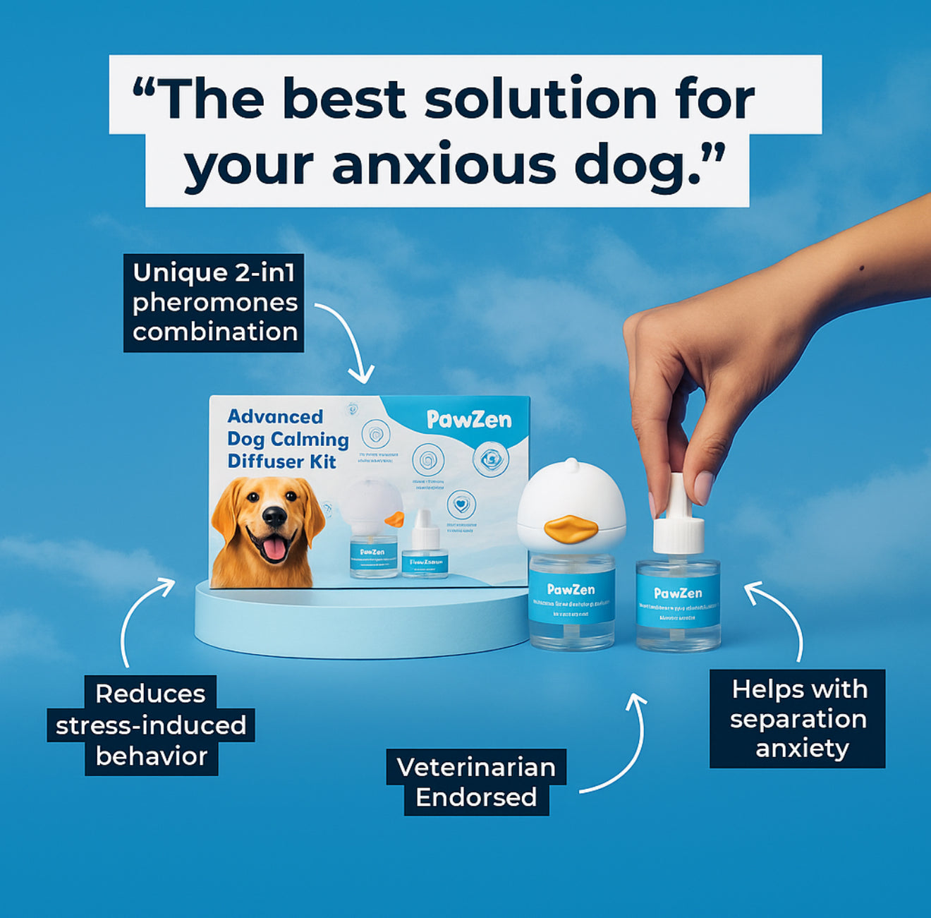 Create a Peaceful Home for Your Beloved Pet
